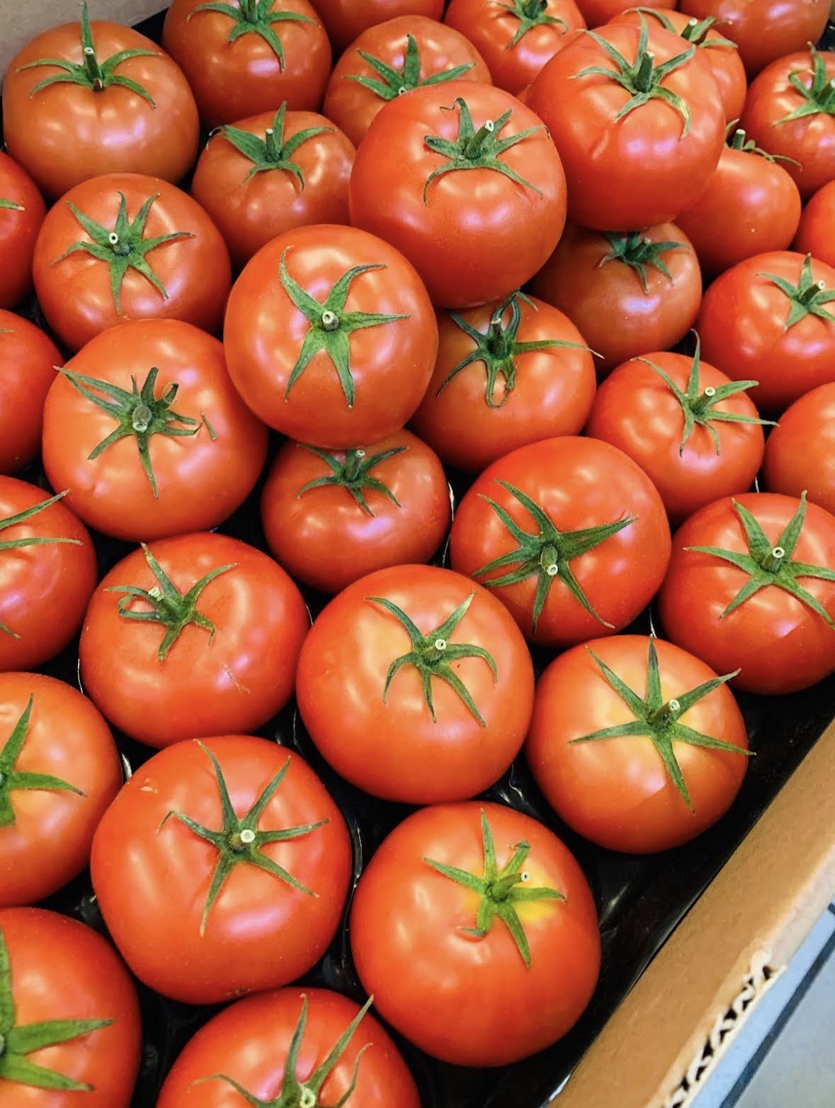 Verduras frescas
